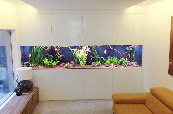 Aquarium Neon: aquaria toebehoren Zoetwatervissen, zoutwatervissen, vijvervissen, planten, accessoires