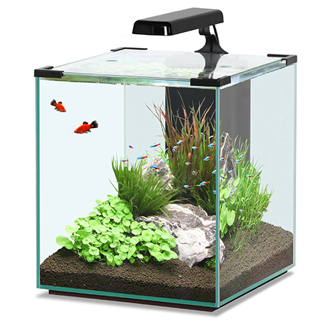 Maken baseren atmosfeer aquatlantis-cubic-nano – Aquarium Neon: vissen, aquaria en toebehoren