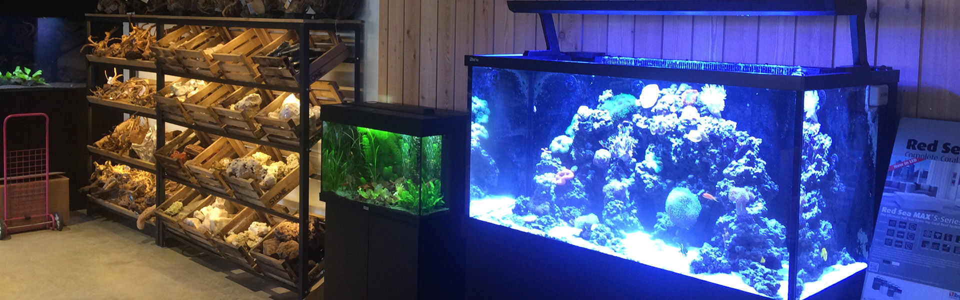 sigaar Afrikaanse dramatisch Aquarium op maat inrichten – Aquarium Neon: vissen, aquaria en toebehoren
