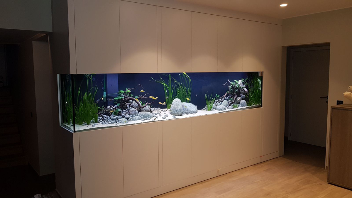 Huiswerk maken levering R Aquarium op maat inrichten: voorbeelden – Aquarium Neon: vissen, aquaria en  toebehoren